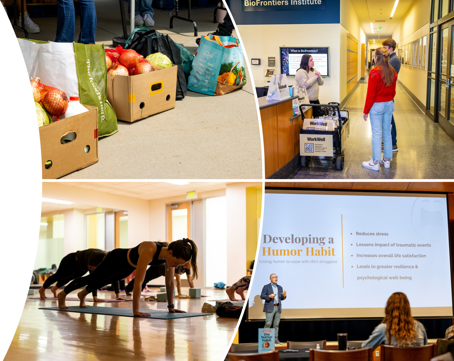 Collage of images for food pantry, fitness classes, workwell wagon
