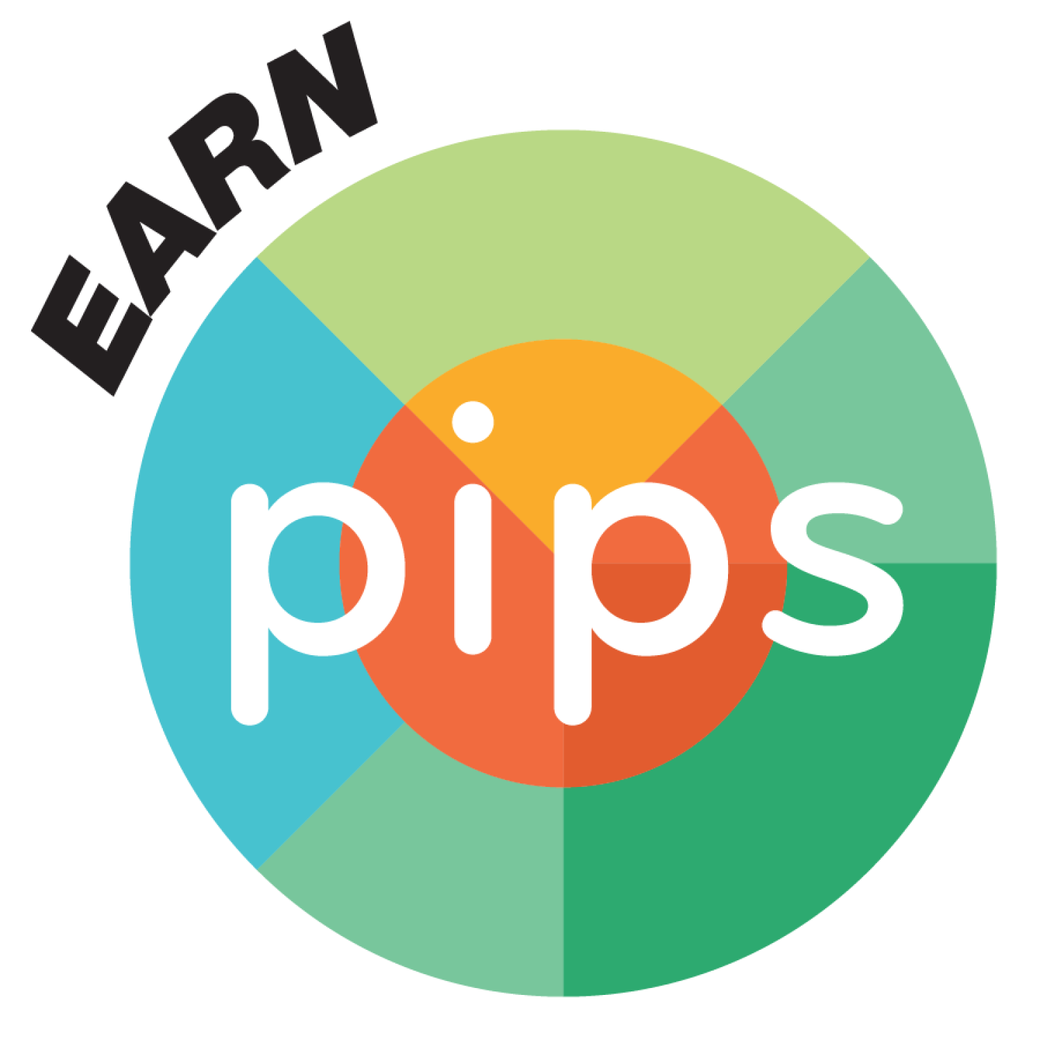 PIP Icon