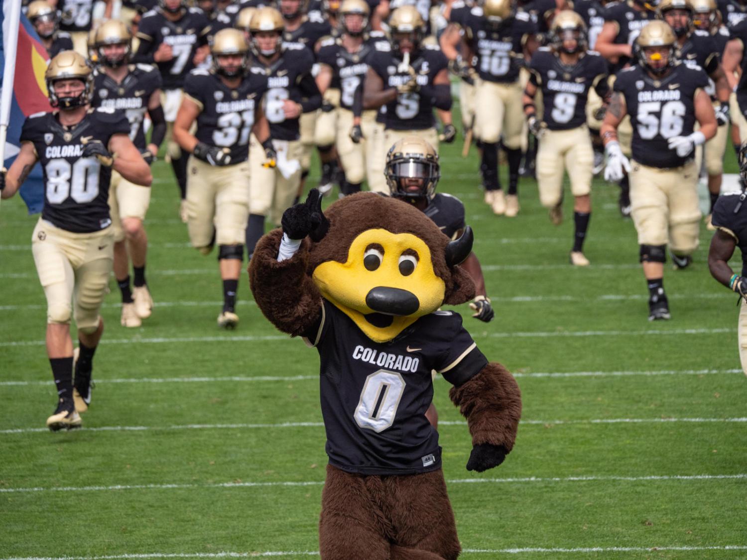 Chip at Football game