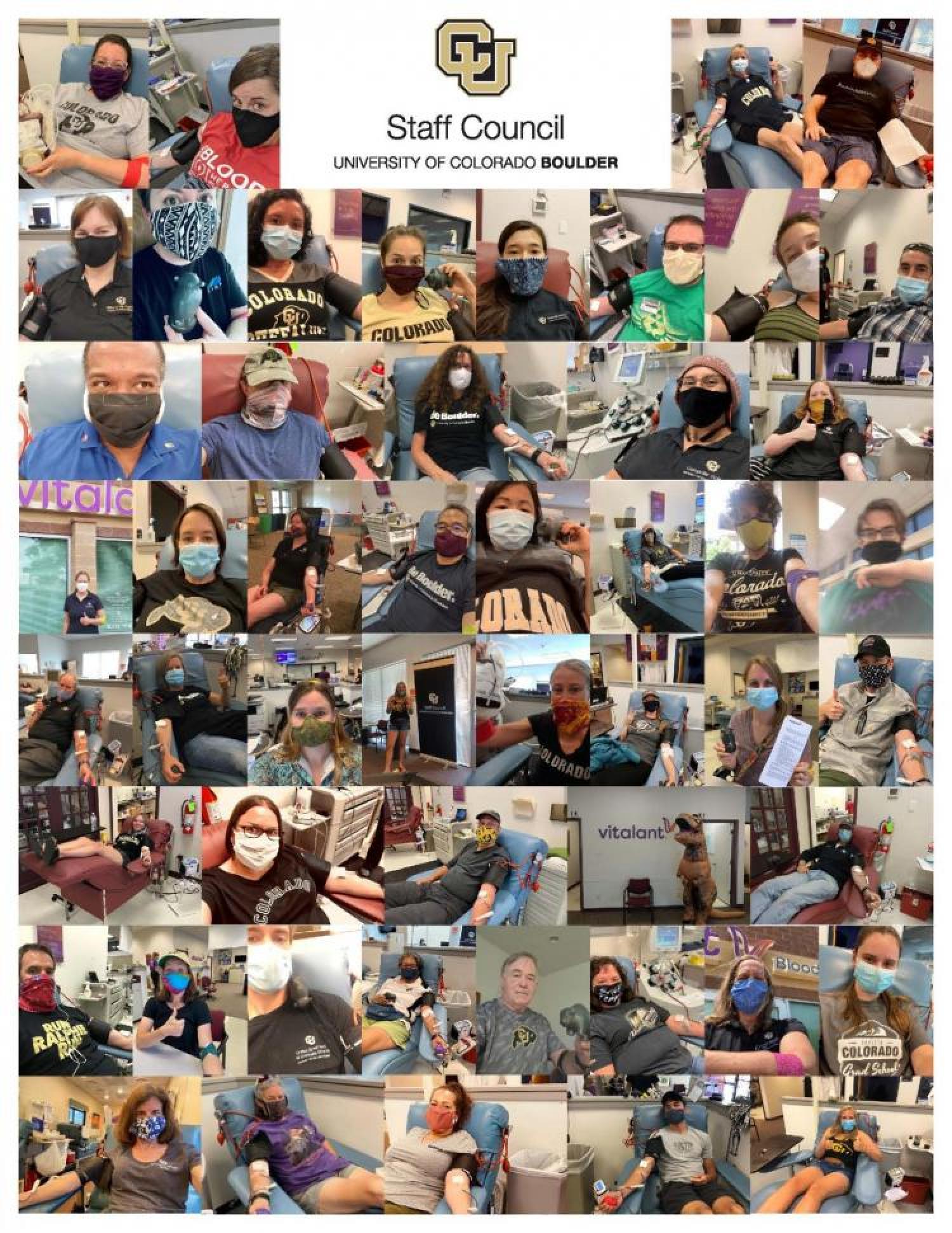 Collage of various CU community members donating blood
