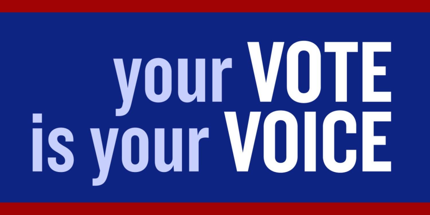Your vote is your voice image