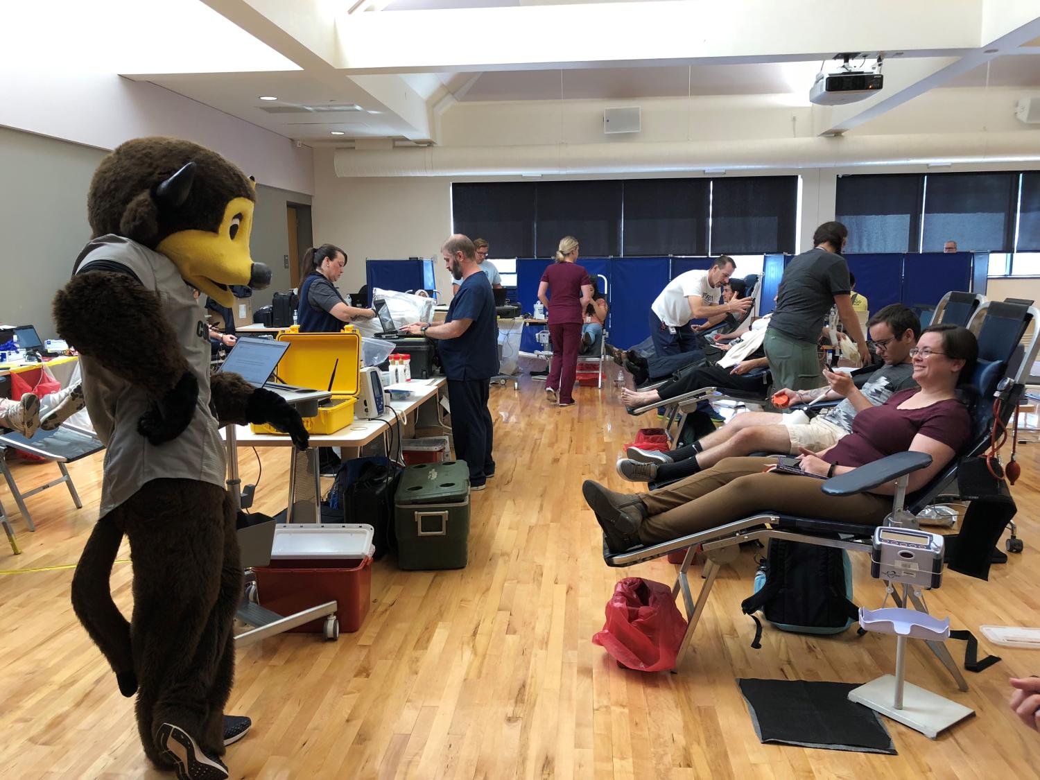 Blood Drive with Chip