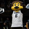 Chip, CU Boulder Mascot, Cheering on fans