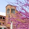 Exterior Shot of CU Building with purple blooms on a tree