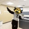 Chip waving in department office