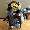 CU mascot Chip encourages you to save a life!