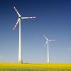Windmills in a field