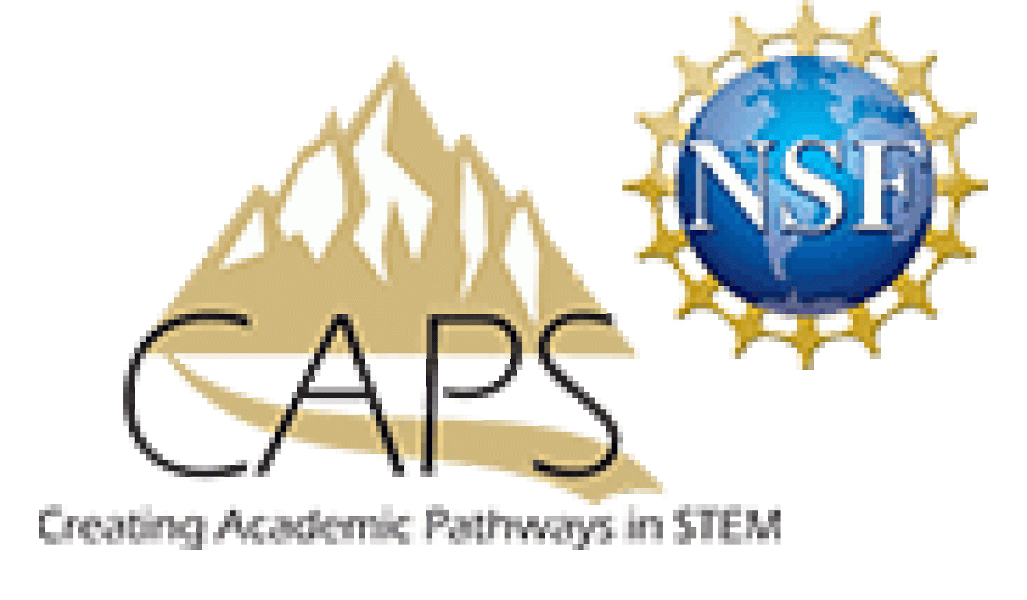 The Creating Academic Pathways in STEM initiative is funded by the National Science Foundation