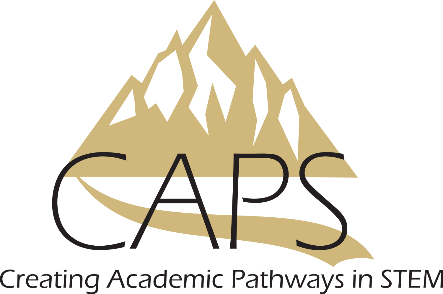 Creating Academic Pathways in STEM