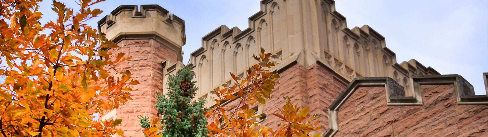 Trees with fall colored leaves and a building behind it