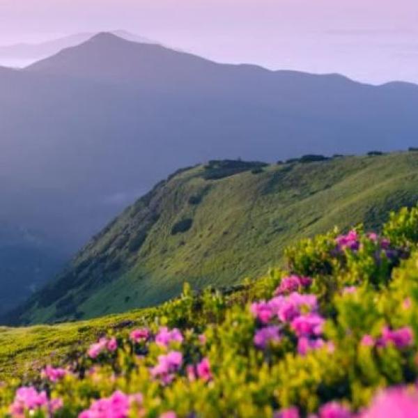 scenic