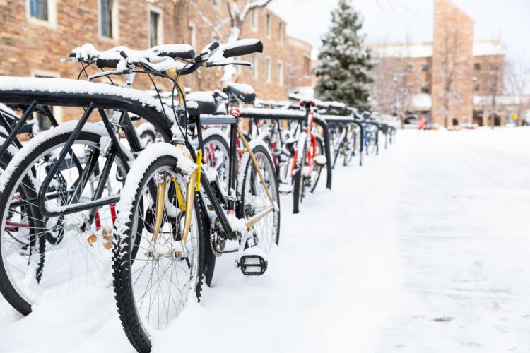 bikes in the snow