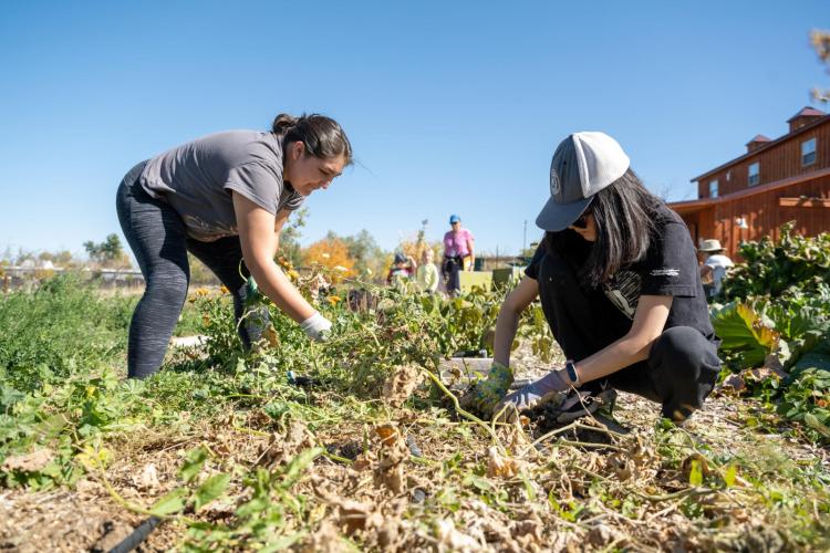 5 ways volunteering can change your life | Division of Student Affairs |  University of Colorado Boulder
