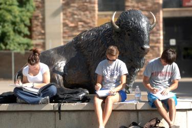 Students studying on campus