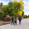 Students walking on campus