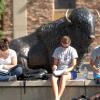 Students studying on campus