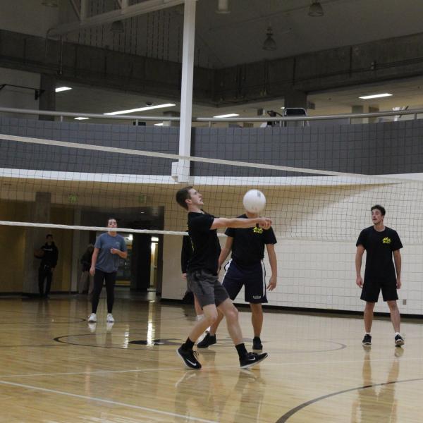 Volleyball game