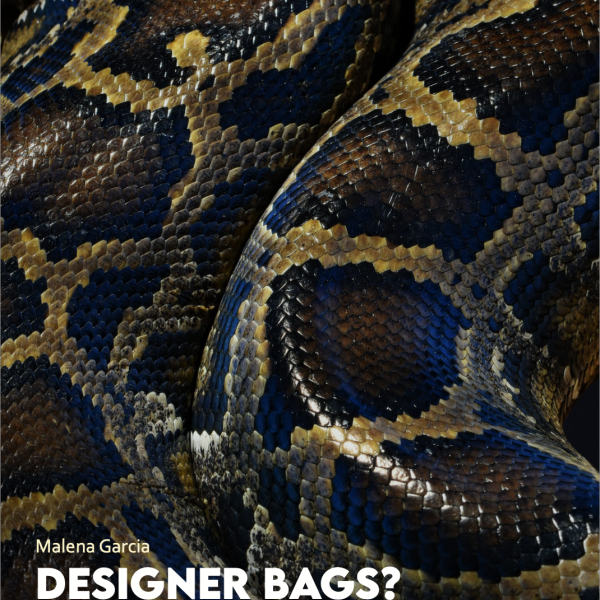 Designer Bags? Try Designer Proteins by Malena Garcia