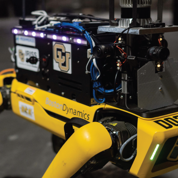 The Boston Dynamics Dog