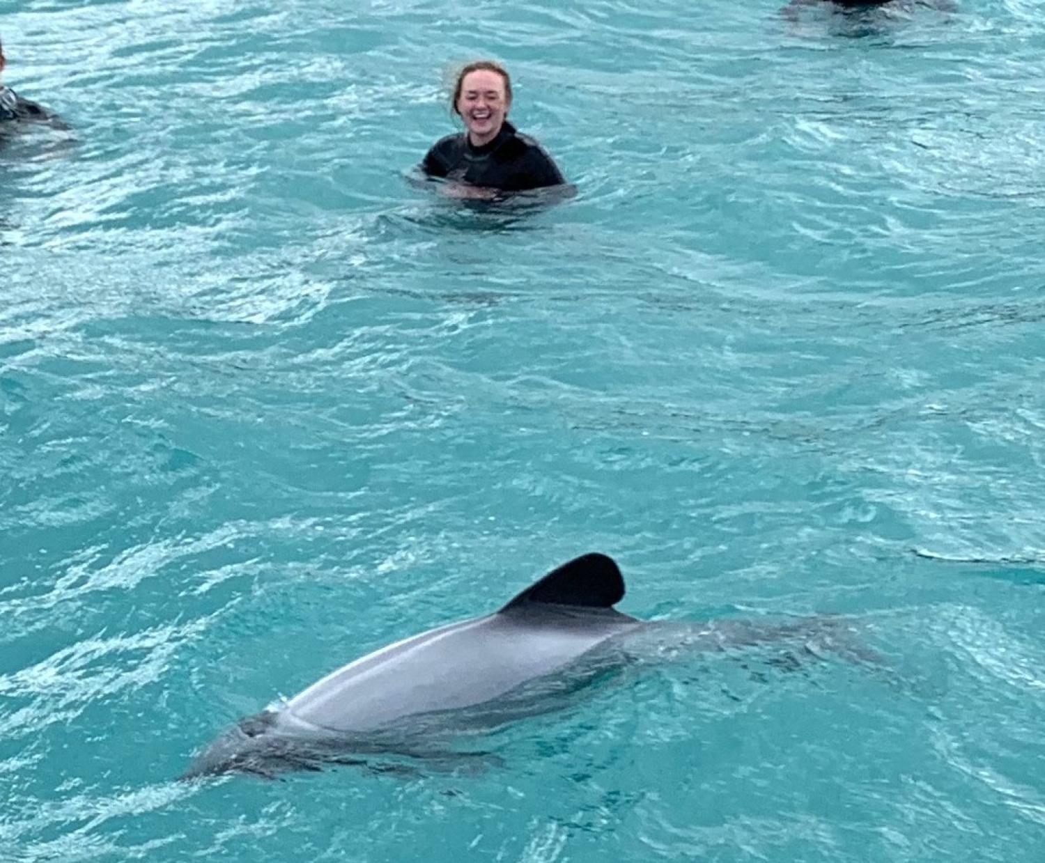 Raechel Jones swimming with dolphin