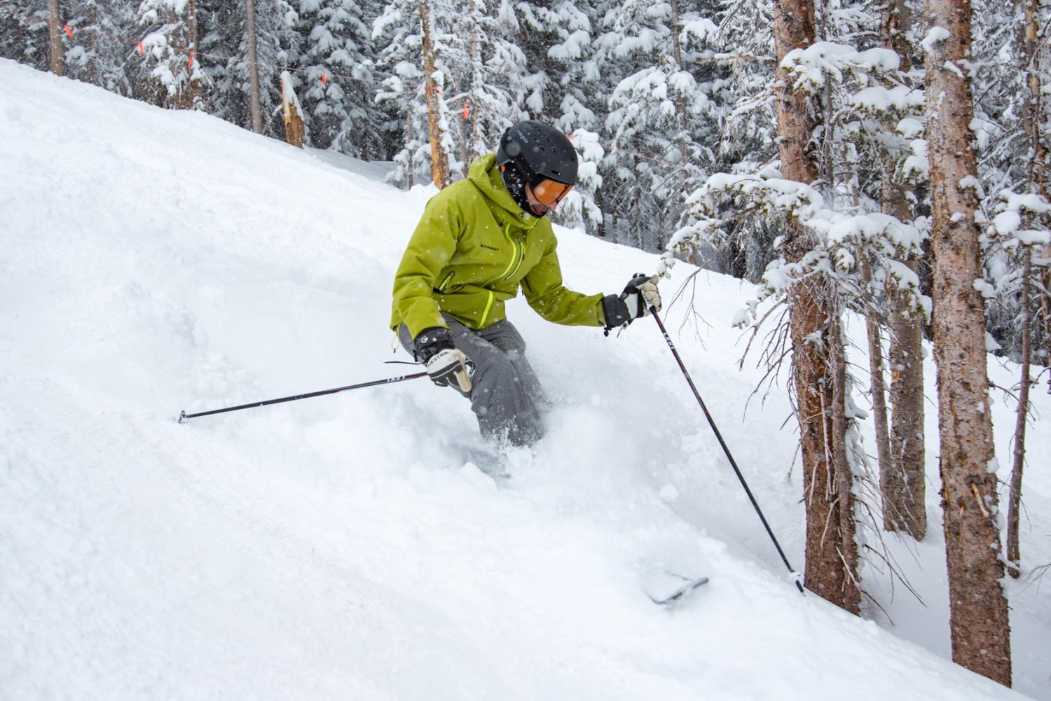 Ron LeMaster skiing