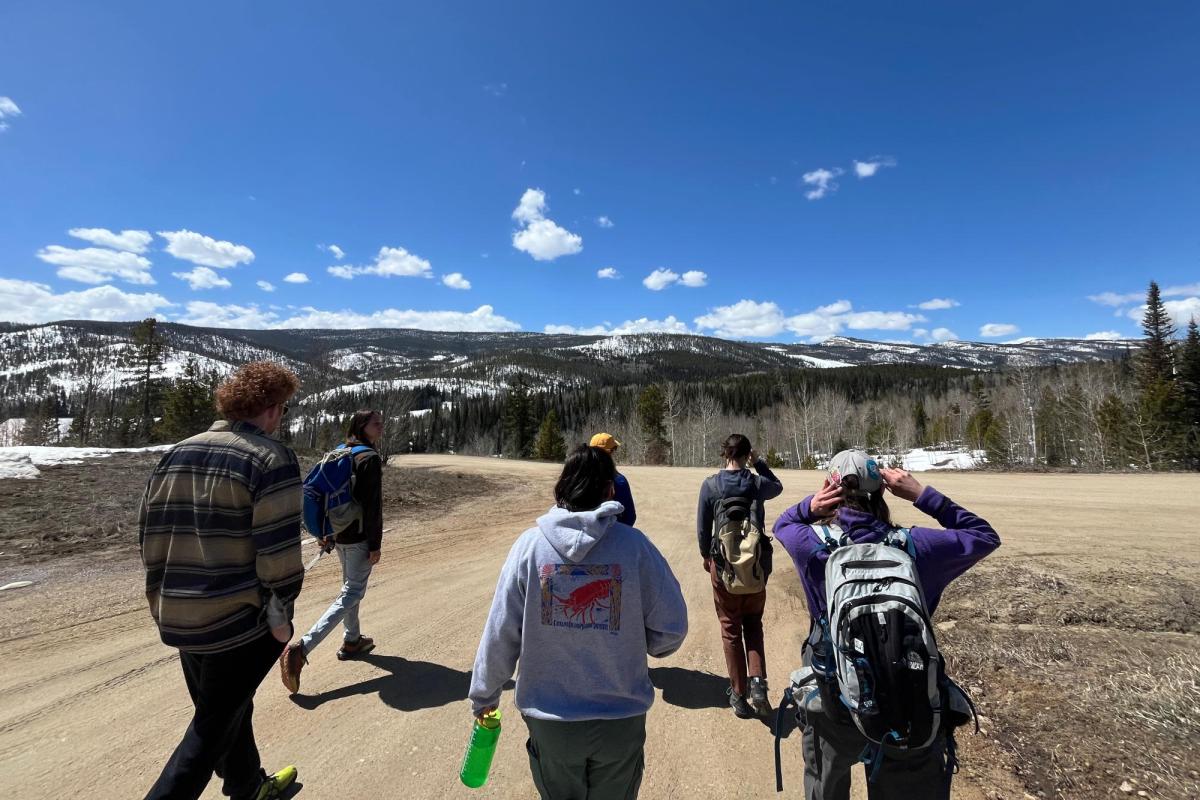 group of people hiking on dirt road