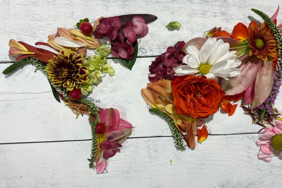 a world map made out of freshly cut flowers