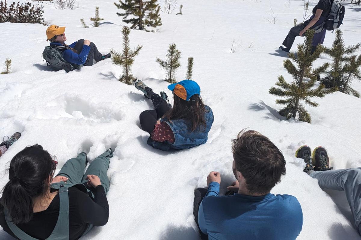 a group of people sitting in the snow with their backs to the camera