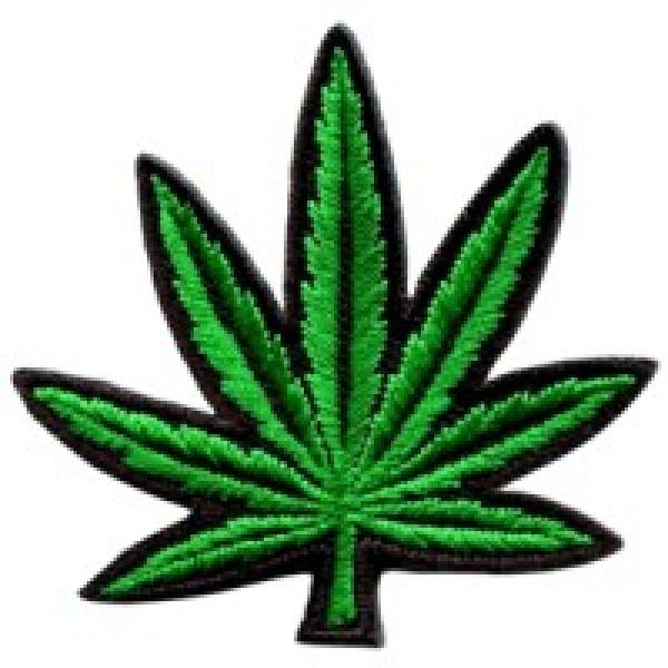 CANNA BUFF