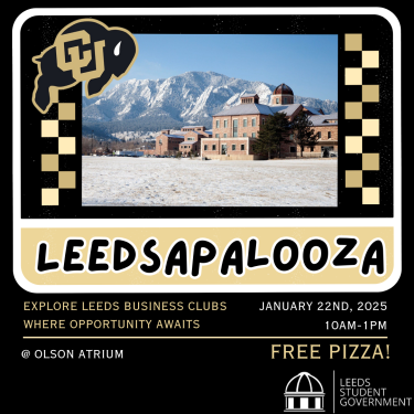 Leedsapalooza Flyer