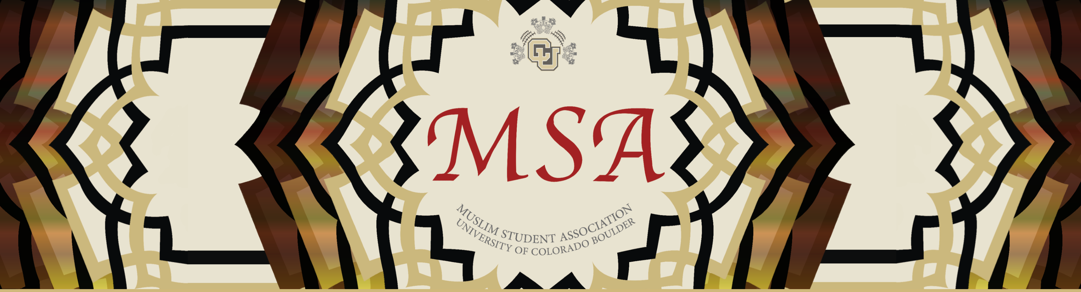 MSA Banner