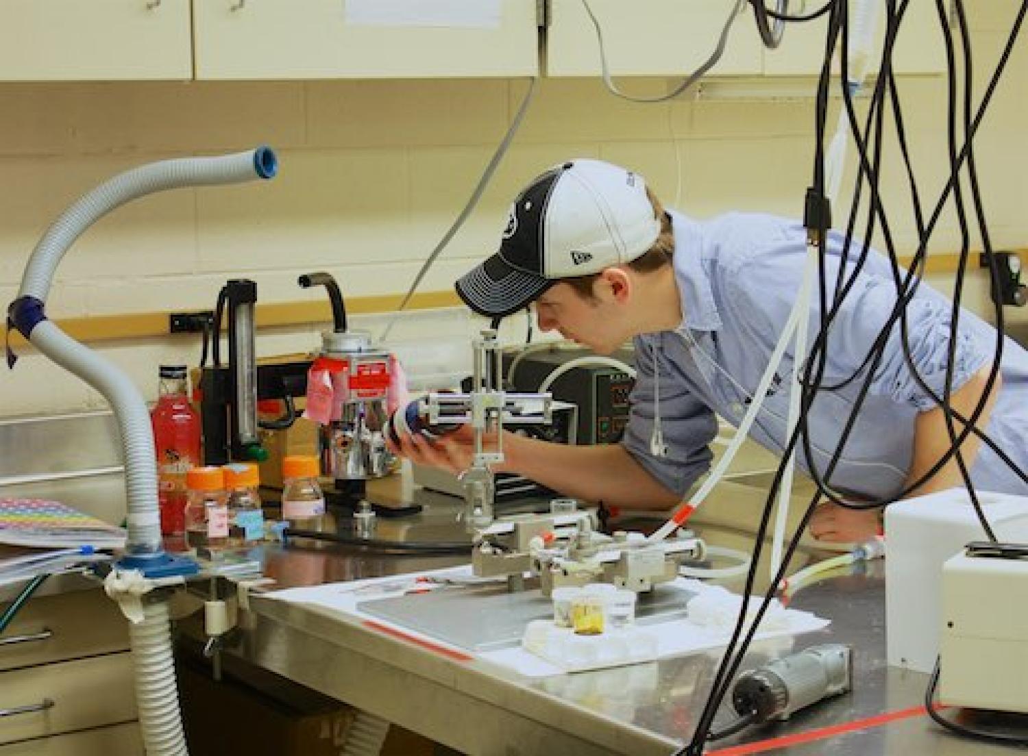Undergraduate doing research
