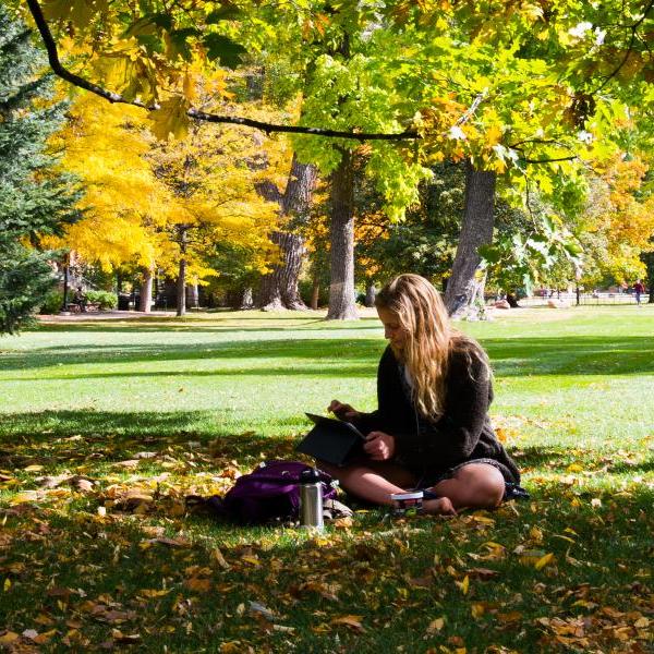 Giving non-traditional students a voice