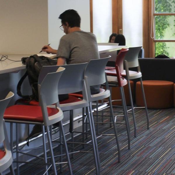 Student Engagement & Collaboration Area