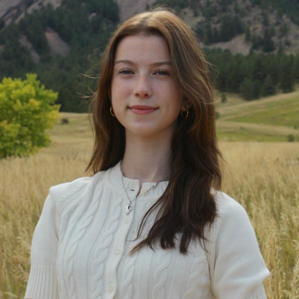 Website Director