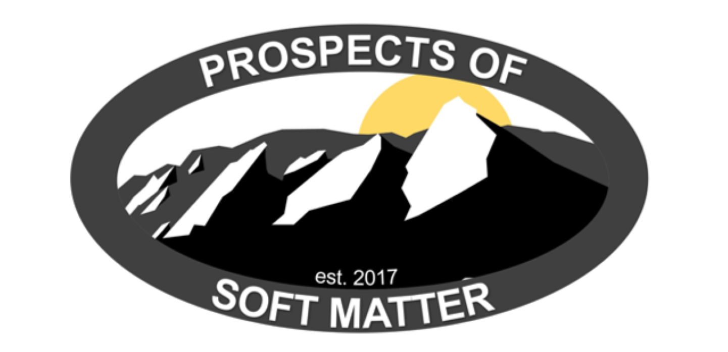 psm logo