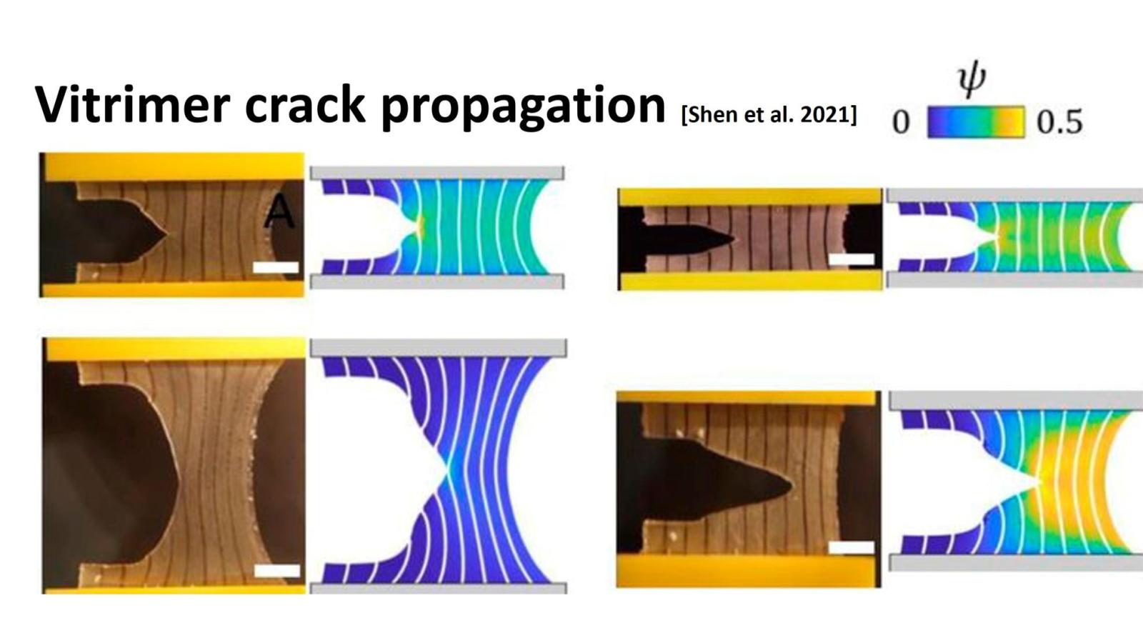 Vitrimer crack propagation