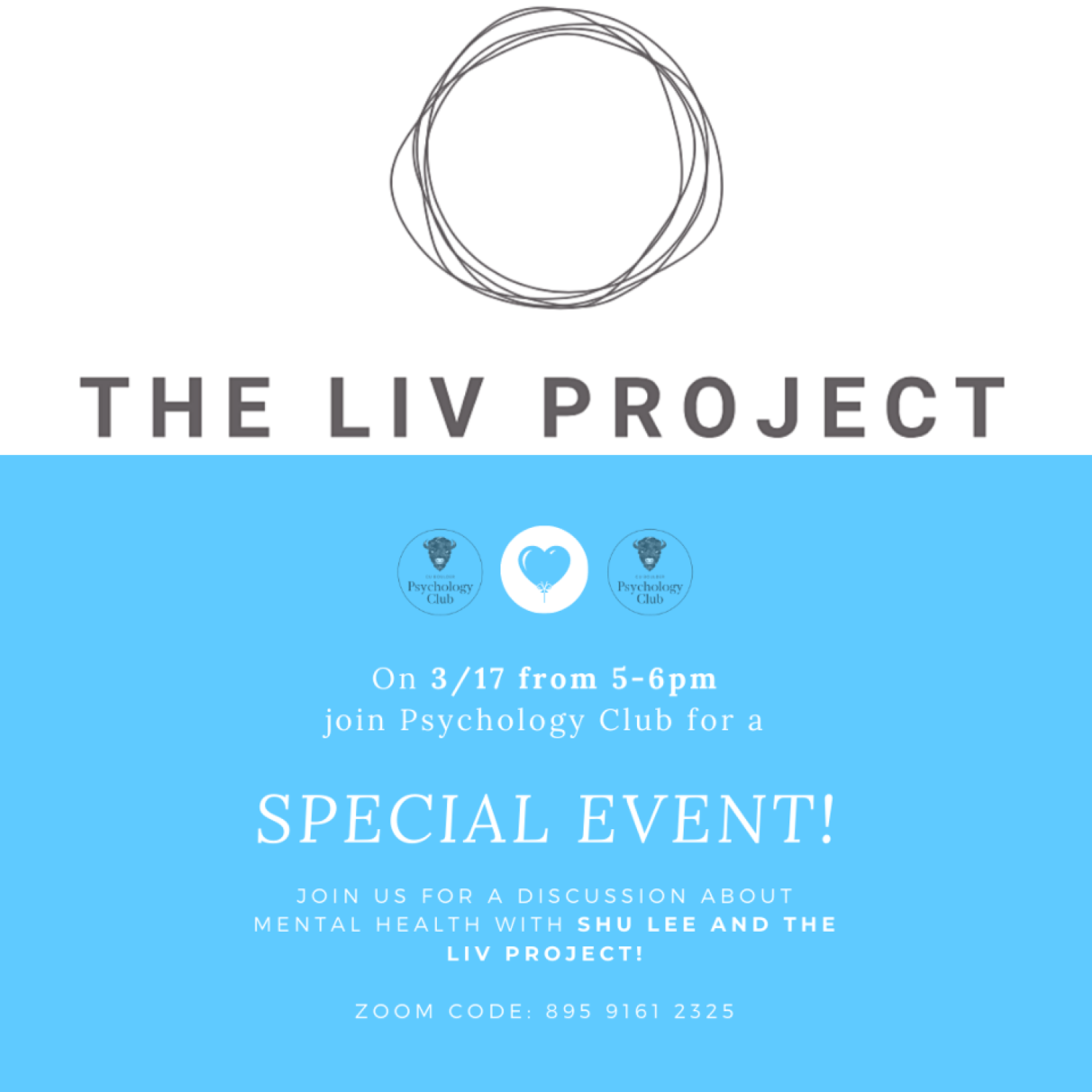 liv project flyer