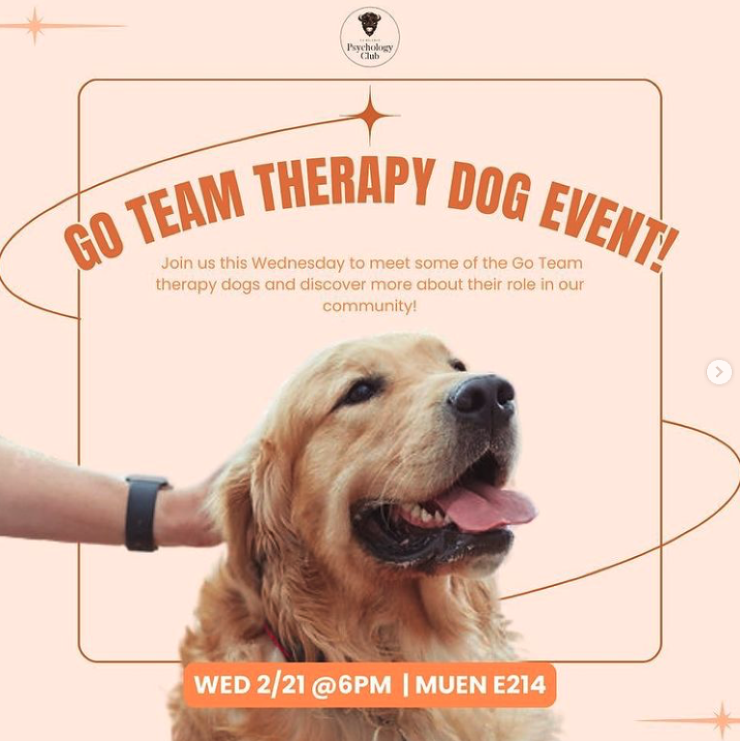 therapy dog flyer
