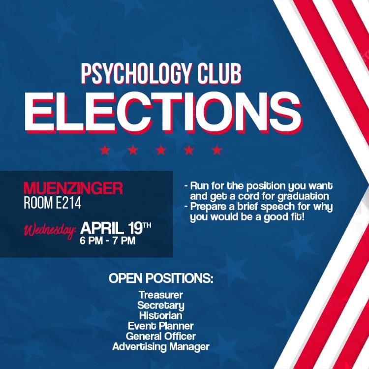 elections flyer