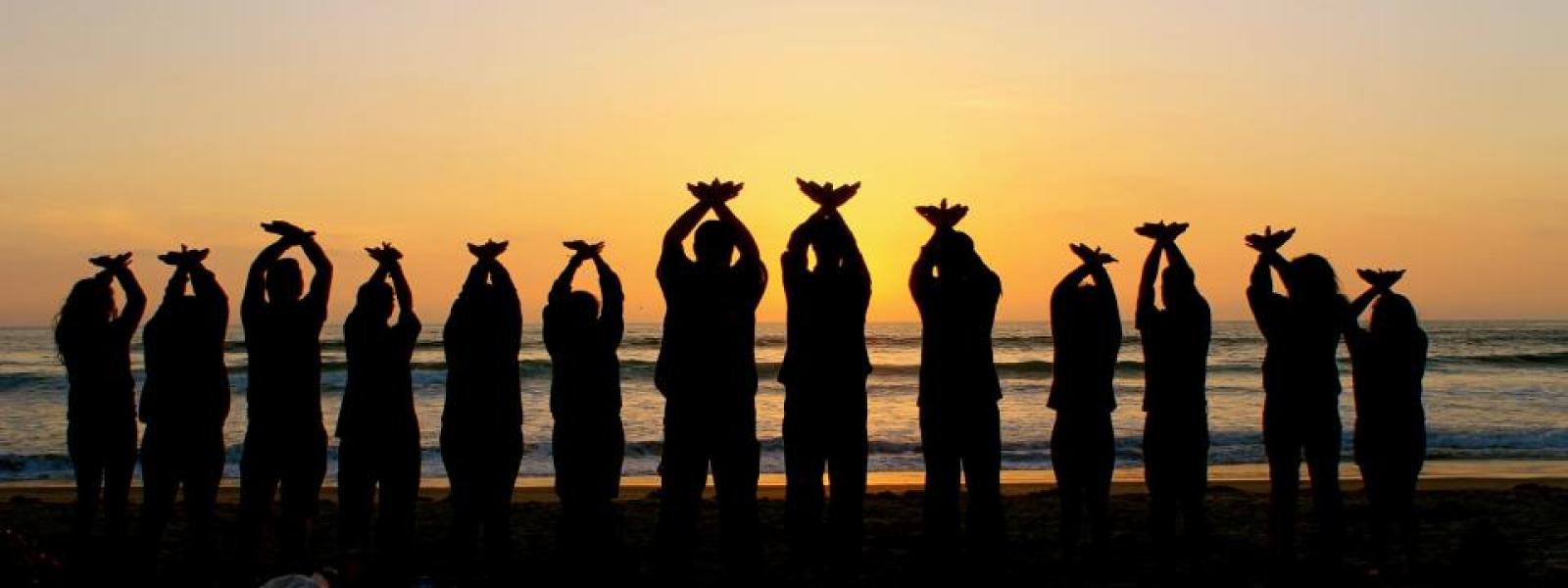 UMAS y MEXA Sunset Beach