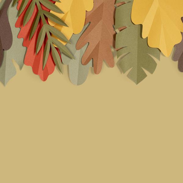 Zoom background