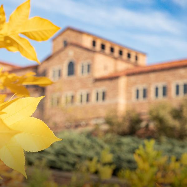 Yellow leaves and CU building