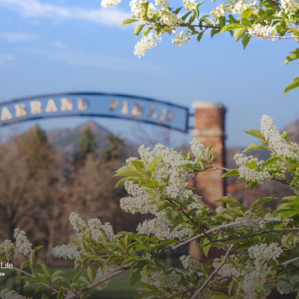 Farrand Field