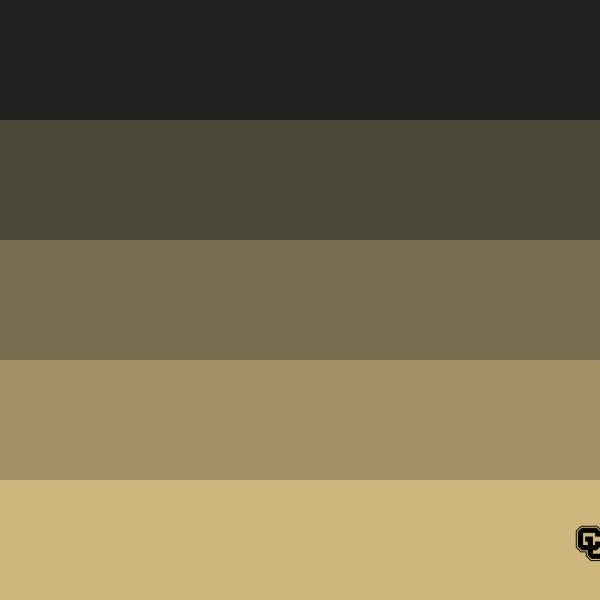 Black and gold stripes