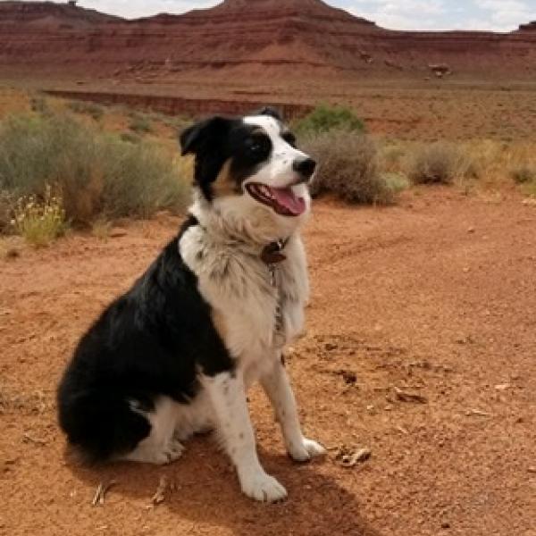 Bruschi - Erica Schomer, New Student and Family Programs