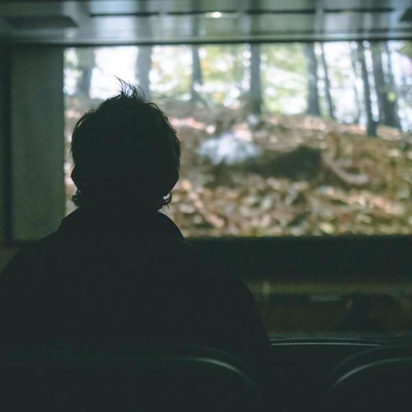 Halloween Film Series