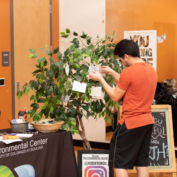 The Environmental Center at the Gratitude Fair