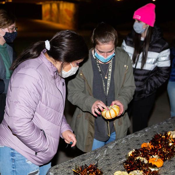 Night at the Pumpkin Patch