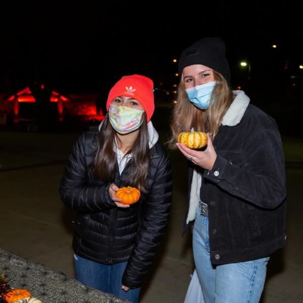 Night at the Pumpkin Patch